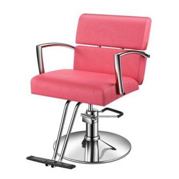 Colorfull Parlour Chair